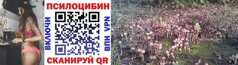 Галлюциногенные грибы Psilocybine cubensis  гидра маркетплейс  Агрыз  где можно купить  